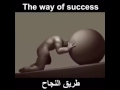 طريق النجاح    