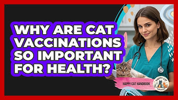 Why Are Cat Vaccinations So Important For Health? - Happy Cat Handbook