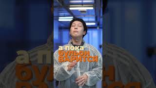 Как мы делаем рамен за 200 деняг? #коно #ramen #рамён #корея #япония