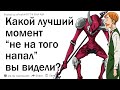 Какой лучший момент из серии “не на того напал” вы видели?