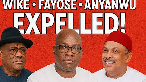PDP 2025 Convention Wahala: Wike, Fayose & Anyanwu Don Finally Chop Expulsion