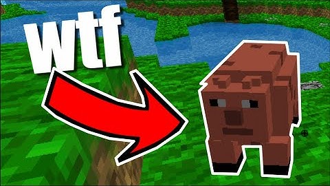 Minecraft Flash Games are Awful