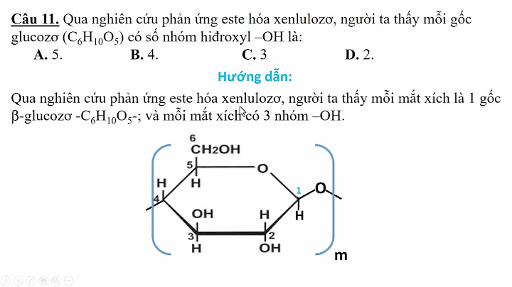 Este hóa xenlulozo gốc glucozo nho m hydroxyl năm 2024