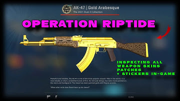 CS GO - Operation Riptide | Inspecting All New Weapon Skins, Patches and Stickers In Game