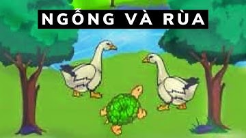 Kể chuyện bé nghe - Ngỗng và Rùa - Vyvan Audio Corner