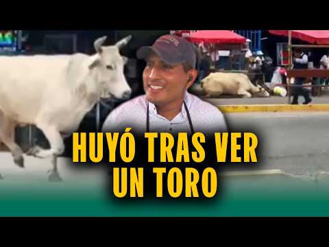 Intimidó a los transeúntes: Toro suelto desató el pánico a comerciantes en las calles de Lurín