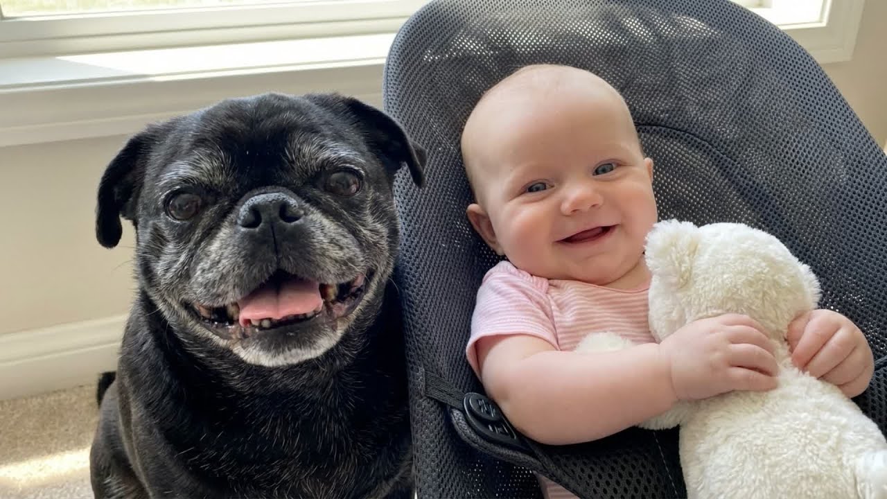 Dogs Napping With Babies Is Pure Happiness 😗 