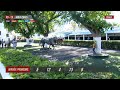 Live Hippodrome CASABLANCA Courses Du 15 05 2026 