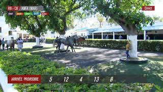 Live Hippodrome « CASABLANCA » Courses du 15/05/2026 screenshot 5