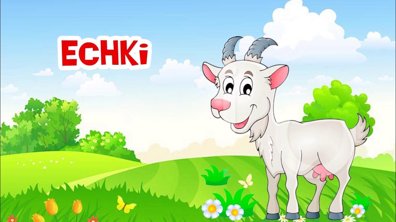 Kesilgan jinsiy olatni boshining fotosurati