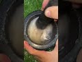 釘で蓮根の粉を作る#手作りアイスキャンディー #手作りアイスクリーム