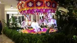 Tryst Nightclub at Wynn Vegas - Vlog #1