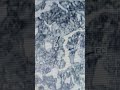 #Details of Microstructure#neet#science