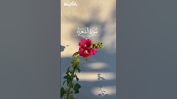"ولا تخزني يوم يُبعثون ❤️‍🩹 تلاوة خاشعة بصوت أحمد النفيس"🫀