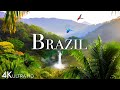 Brazil In 4K - Beautiful Tropical Country | Scenic Relaxation Film