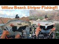 Colorado River/Willow Beach Striped Bass fishing! Early Morning session