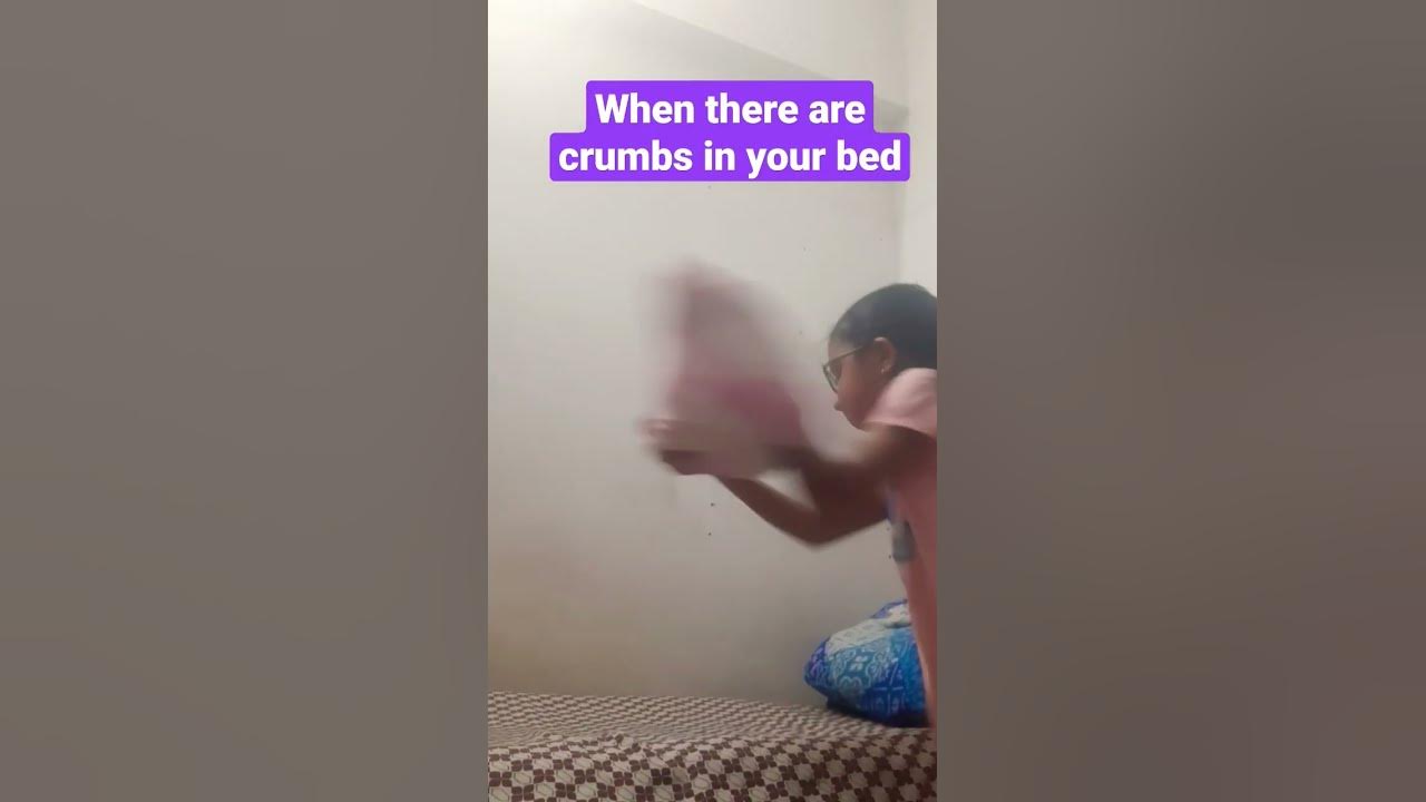 when there are crumbs your bed YouTube