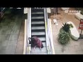 エスカレーターから転げ落ちる女性