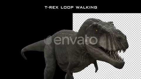 Animation ,Skin,Rigging (T-rex loop walking pack by studiodav preview)