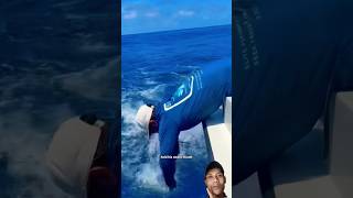 that's a big fish, guys #fishing #fish