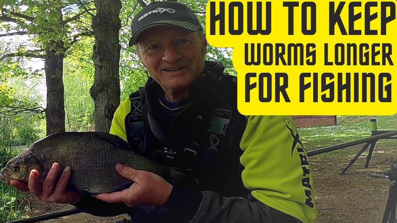 Catching and Keeping Bait Worms » Black Lake, NY