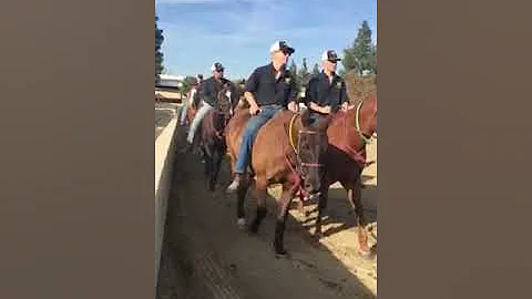 Parsons Mounted Cavalry at LA Equestrian center