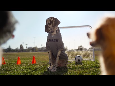 Dog Tested | Soccer Practice :15