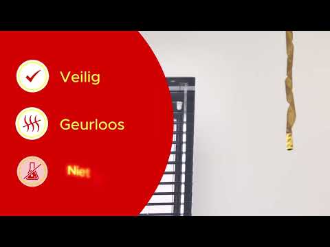 4 vliegenvangers met een sterke kleefkracht