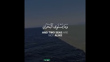 حالات واتساب القران/سورة فاطر/ فهد واصل المطيري صوت يقتل حزنك♥️⛅️/حالات واتس دينية