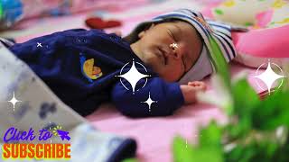 Information Lovely Bedtime Story for Kids | The Best Stories to Help Children Sleep Update