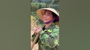 Tập cuối câu cá đổi gà đồi & cái kết "Lời" #chungnguyenfishing #shorts #caucatramden