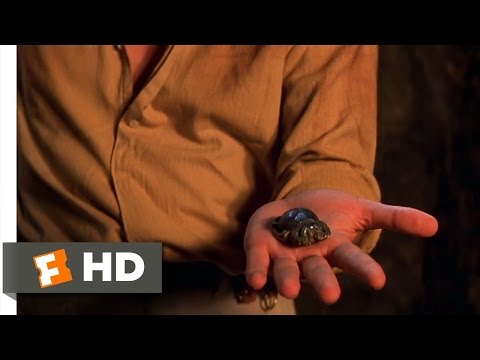 The Mummy (8/10) Movie CLIP - Scarab Attack (1999) HD