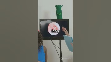 Working of ear/Human ear/Sound/Class 8