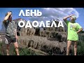 Цветочные клумбы // Экологическая обстановка // Собираем урожай