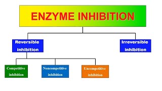 Enzyme inhibition (Animation) | Competitive, noncompetitive, uncompetitive & irreversible inhibition