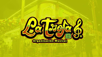 EL BONFIEST  - TROJA 8