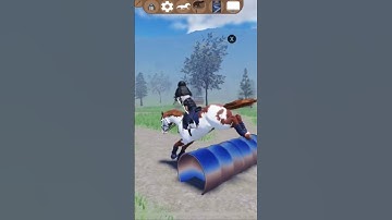 conemira🫶🏻 #fypシ゚viral #goviral #horse #roblox #equestrianjourney #strideway #gaming #music #remix