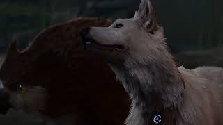 Baldur’s Gate 3 | Scratch and Owlbear