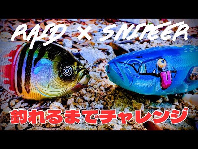 RAIDJAPAN x SNIPEERコラボDODGE/DEKADODGE L RAID×SNIPEERコラボカラーの【G−DASH】と【DEKA DODGE】で釣れるまで
