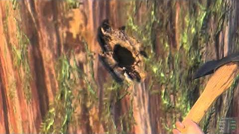 H1Z1 crafting a Basic Shack