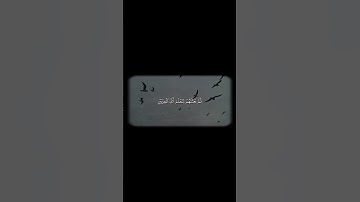 فَضَرَبْنَا عَلَىٰ آذَانِهِمْ فِي الْكَهْفِ سِنِينَ عَدَدًا |#سورة_الكهف القارئ #علي_جابر #قرآن