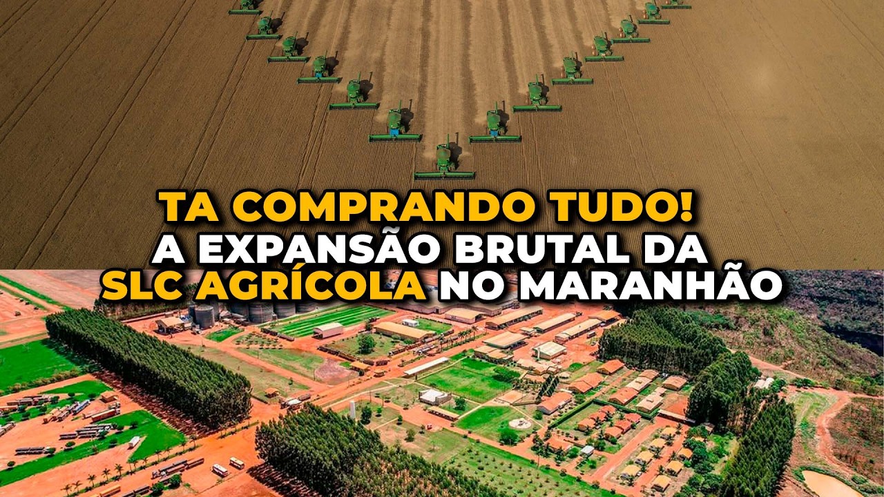A Expansão Brutal da SLC  Agrícola no Maranhão