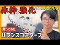 【正直レビュー】体幹が鍛えられるスパイクレス買ってみた!バランスコアターフ