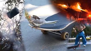 Random Archive Footage Blowing Up Trash Can At Skatepark Huge House Fire Game Of Scoot