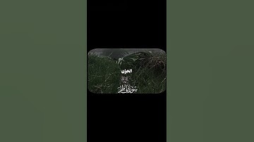 سورة فاطر  [ ٣٤ ] القارئ : عمر بن ضياء الدين