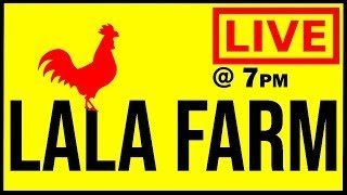 Wednesday Night Live with Lala Farm