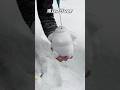 雪玉に色をつける！ #雪 #asmr #けまり先生