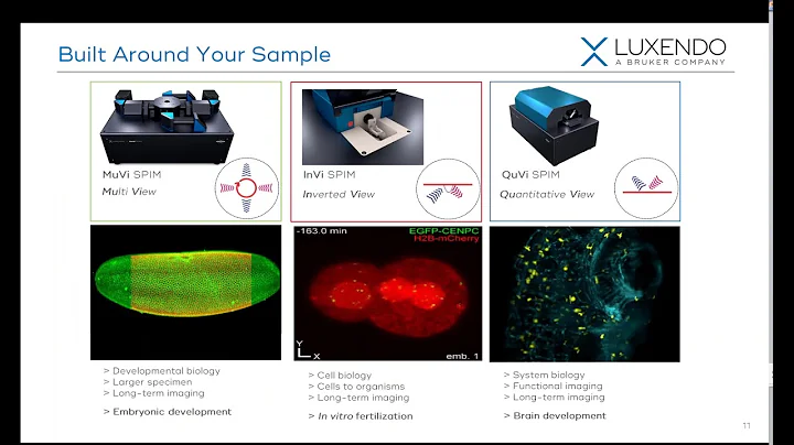 Light sheet Microscopy - Seeing Life from a Different Angle