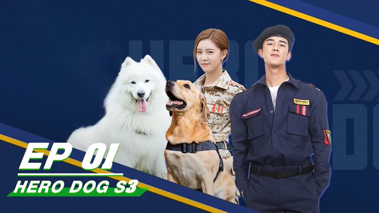 【ENG SUB】E01 Hero dog Season3 神犬小七3 | iQIYI