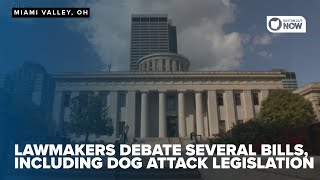 Ohio lawmakers debate several bills, including dog attack legislation